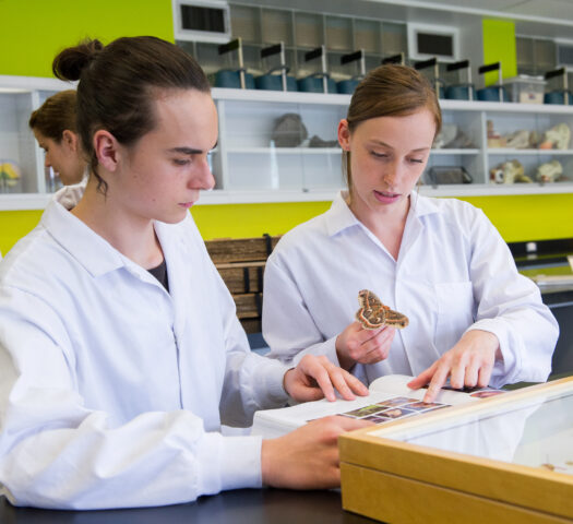 Techniques de bio cologie C gep de Saint Laurent