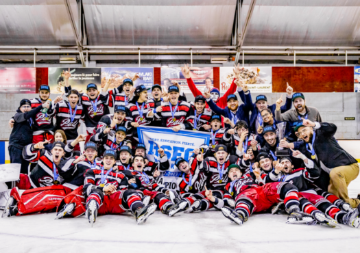 Champions provinciaux de hockey division 1