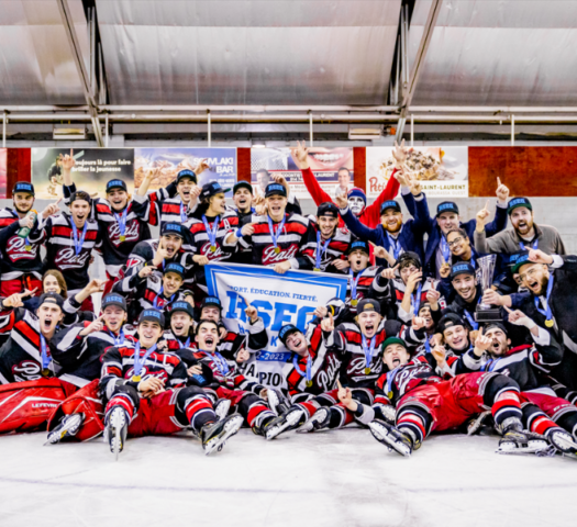 Champions provinciaux de hockey division 1