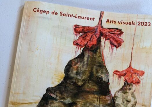 Une copie physique du catalogue, offerte aux étudiantes et étudiants du programme Arts visuels.