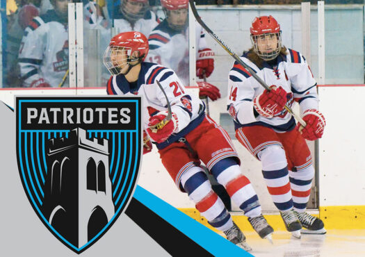 Patriotes hockey masculin D2