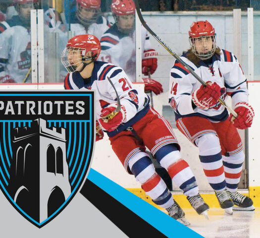 Patriotes hockey masculin D2