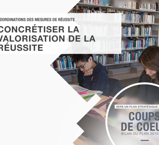 Coordinations des mesures de réussite CMR