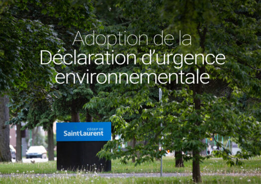 nouvelle declaration