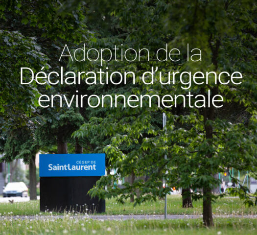 nouvelle declaration