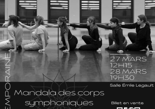 Spectacle de Danse Affiche 2